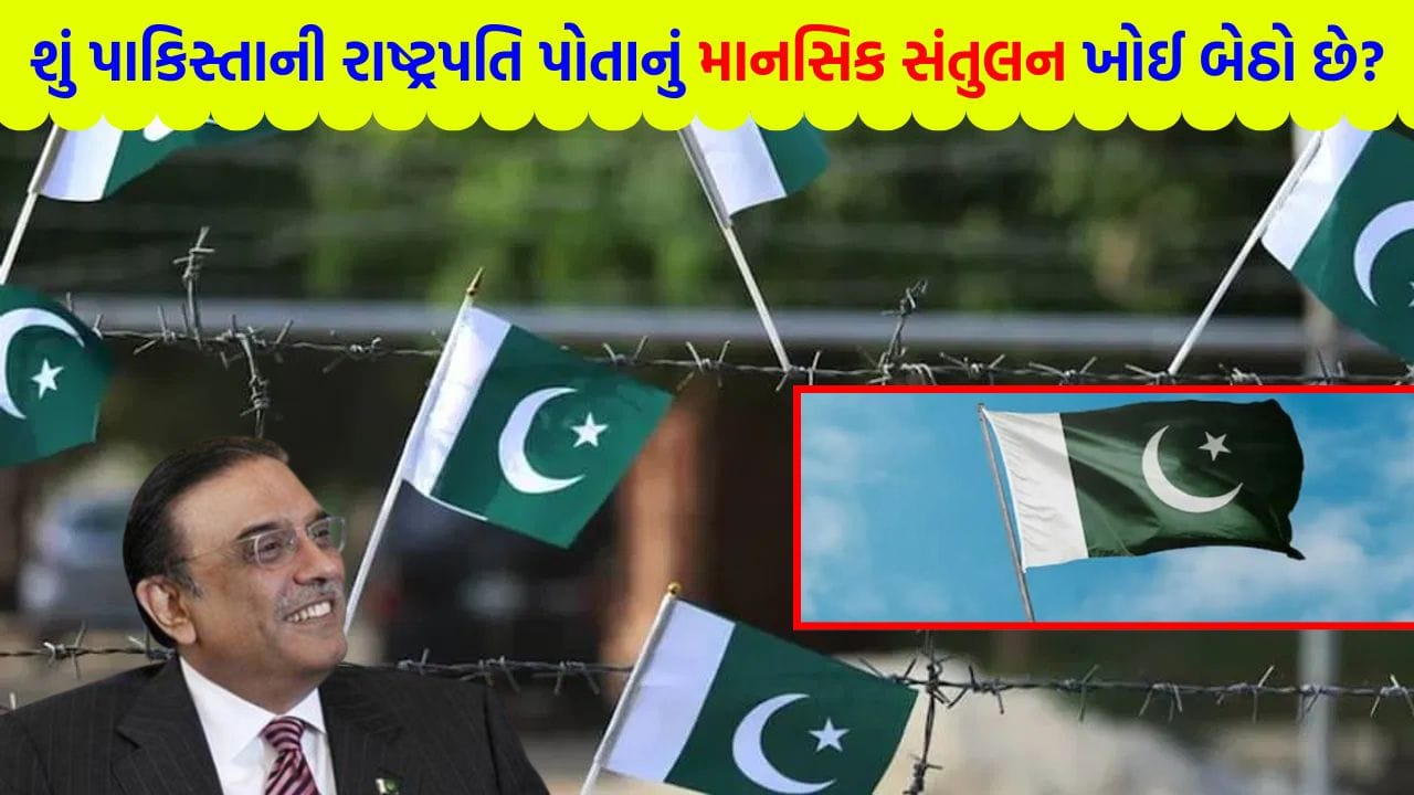 Breaking News: ભારતીય PMના નિવાસસ્થાને ડ્રોન ઉડાવ્યા... પાકિસ્તાની રાષ્ટ્રપતિએ શરમ વેચી ખાધી, 'નકટો' માણસ આટલું જૂઠું કઈ રીતે બોલી શકે?