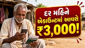 આ સરકારી સ્કીમમાં દર મહિને મળશે ₹3,000 નું 'ફિક્સ પેન્શન'