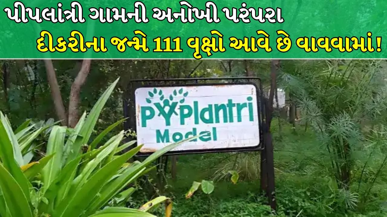 Viral Video : રાજસ્થાનનું એકમાત્ર ગામ જ્યાં પુત્રીના જન્મ પછી 111 વૃક્ષો આવે છે વાવવામાં ! જુઓ Video