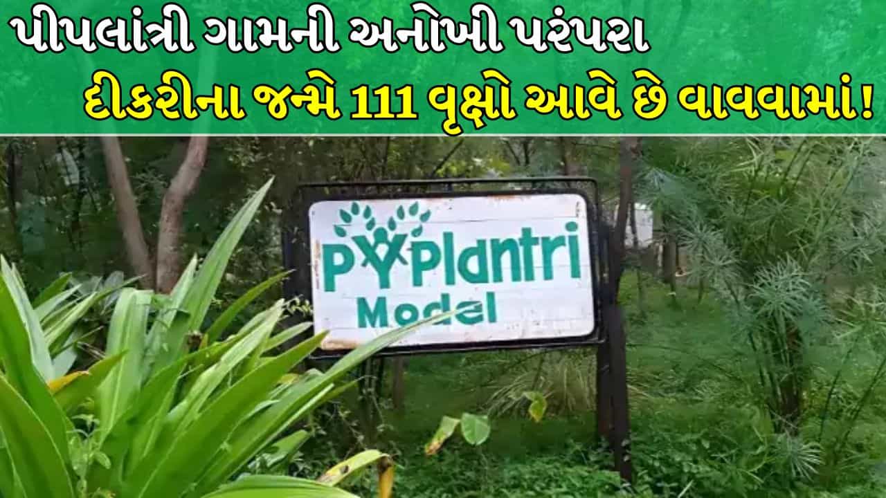 Viral Video : રાજસ્થાનના રણમાં બન્યું જંગલ, ગામ લોકો પુત્રીના જન્મ સાથે વાવે છે 111 વૃક્ષ ! જુઓ Video