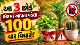 ભૂલથી પણ આ 3 છોડ ભેટમાં ન આપતા, નહીં તો ઘરની સુખ-સમૃદ્ધિ થઈ શકે છે દૂર