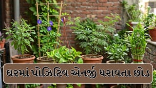 Positive Energy Plant : માં લક્ષ્મીને પ્રિય છે આ 6 છોડ, ઘરમાં લાવતા જ શરૂ થશે ધનલાભ?