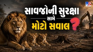 Breaking News : વન વિભાગની મિલીભગત કે રાજકીય ખેલ ? 51 સિંહોના કોરિડોરમાં માઇનિંગની મંજૂરી આપનાર તત્વો સામે આંદોલનનું રણશિંગું ! જુઓ Video