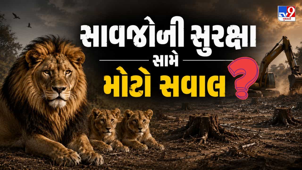 Breaking News : વન વિભાગની મિલીભગત કે રાજકીય ખેલ ? 51 સિંહોના કોરિડોરમાં માઇનિંગની મંજૂરી આપનાર તત્વો સામે આંદોલનનું રણશિંગું ! જુઓ Video