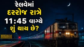 રાત્રે રેલવેના સર્વર પર શું થાય છે? કેમ 'ટિકિટ' બુક નથી કરી શકાતી?