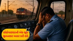 શું લોકો પાયલટ દારૂ પીને બીજા દિવસે ડ્યૂટી પર આવી શકે? જાણો સજા