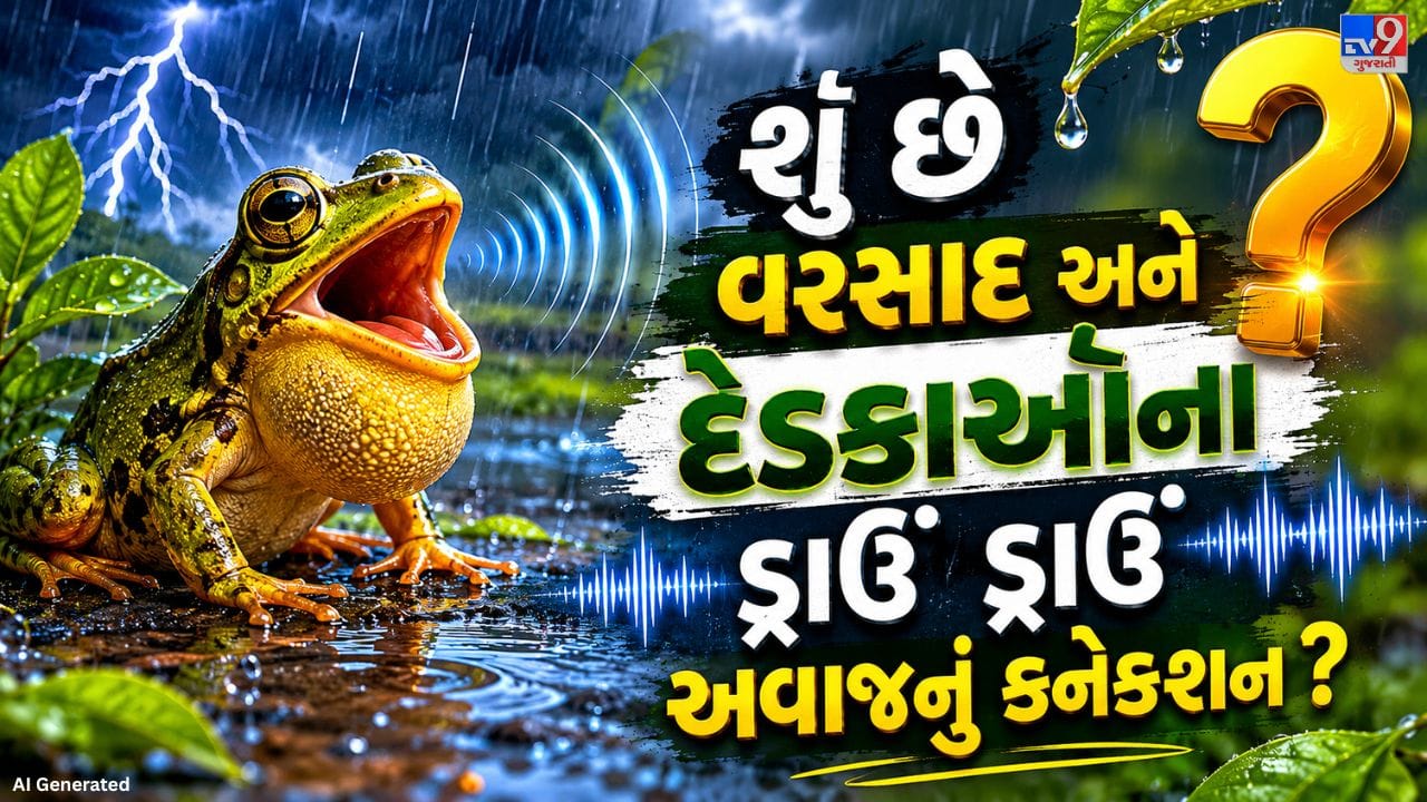 વરસાદ શરૂ થતાં જ ચારેબાજુ દેડકાઓના ડ્રાઉં ડ્રાઉંના અવાજો સંભળાવા લાગે છે. ઘણા લોકોના મનમાં સવાલ ઊભો થાય છે કે આખું વર્ષ નજરે ન પડતા દેડકા અચાનક વરસાદમાં ક્યાંથી બહાર આવી જાય છે? શું તેઓ ક્યાંક છુપાયેલા હોય છે કે પછી વરસાદ સાથે જ દેખાવા લાગે છે? આજે અમે તમને આ રહસ્ય પાછળનું વૈજ્ઞાનિક કારણ સમજાવીશું.