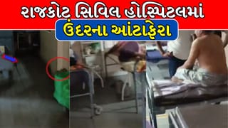 Breaking News : રાજકોટ સિવિલ હોસ્પિટલમાં શ્વાન બાદ હવે ઉંદરનો ત્રાસ, સારવાર માટે આવેલા દર્દીઓને ચેપ ફેલાવાનો ભય! જુઓ Video