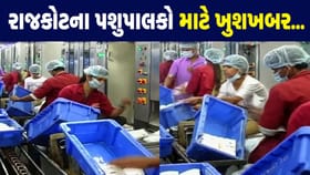 રાજકોટ ડેરીએ દૂધ ખરીદીના ભાવમાં કર્યો વધારો, જુઓ Video