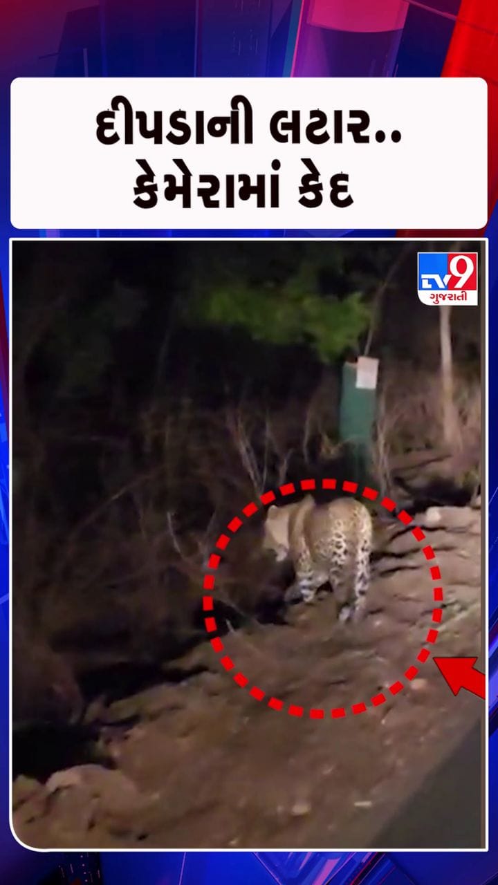 રસ્તા પર દીપડાની લટારથી સ્થાનિક વાહનચાલકોમાં ફફડાટ