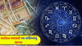 આ જાતકો પહોંચશે નવી ઊંચાઈએ, અચાનક ધનલાભના 'પ્રબળ યોગ'