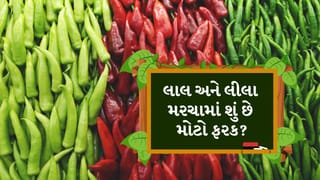 લાલ મરચું કે લીલું મરચું? રસોઈનો સ્વાદ વધારતા મરચાં શરીર પર શું અસર કરે છે? જાણો મહત્વની માહિતી