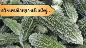 કડવું નહીં લાગે કારેલું, રસોડાની આ ટિપ્સથી બદલાઈ જશે સ્વાદ
