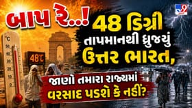 બાપ રે..! 48 ડિગ્રી તાપમાનથી ધ્રૂજ્યું ઉત્તર ભારત
