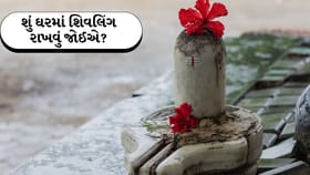 શું ઘરમાં શિવલિંગ રાખવું શુભ છે? જાણો નિયમો અને સાચી પૂજા વિધિ
