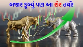 એક મહિનામાં 39% રિટર્ન! બજારના કડાકા વચ્ચે આ શેરમાં આવ્યો 'જંગી ઉછાળો'