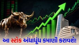 આ 'સ્ટોક' બનશે 'રોકેટ'! બ્રોકરેજે આપ્યું 'BUY' રેટિંગ