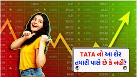 ટાટા ગ્રુપની આ કંપની રોકાણકારોને આપશે 'ડબલ ભેટ'!