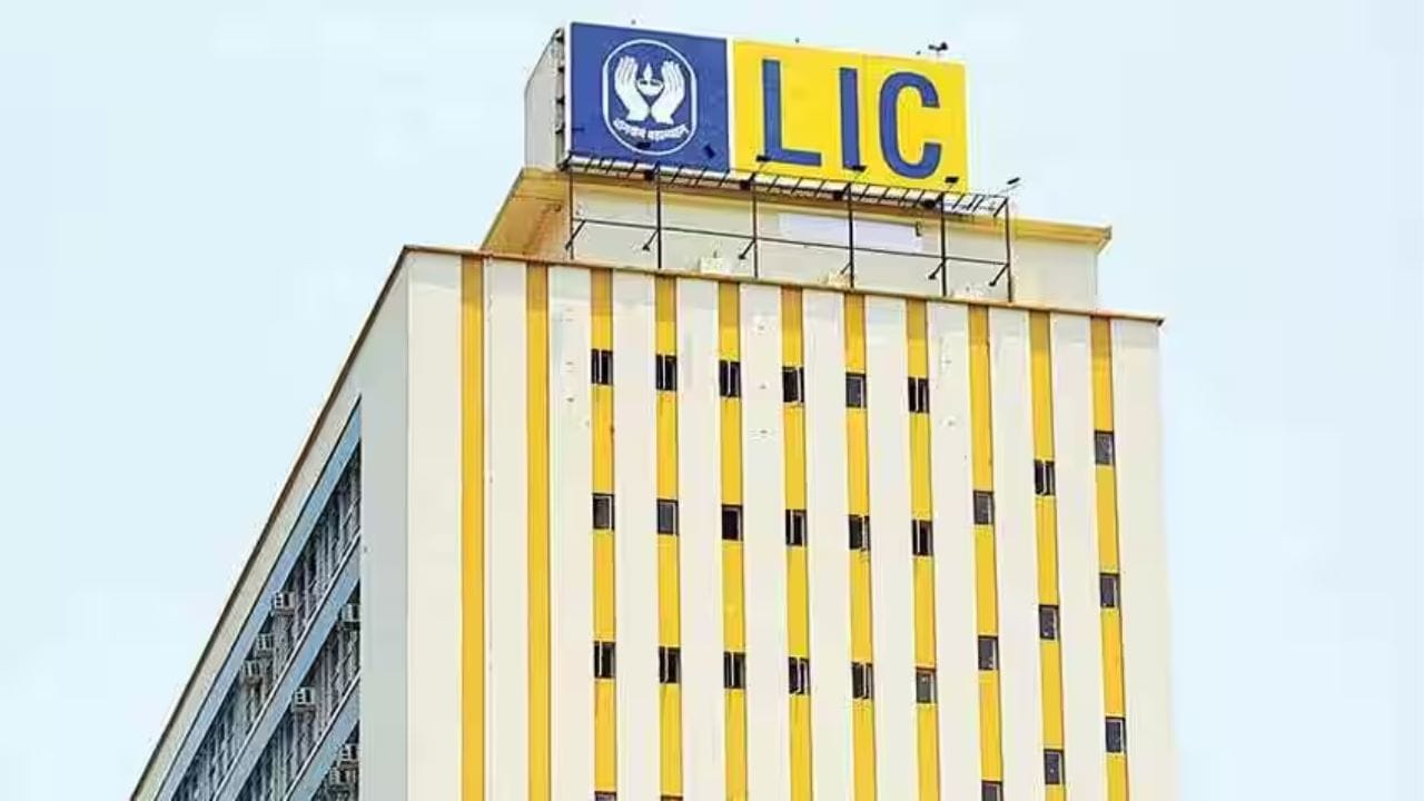 સોમવારે BSE પર LIC નો શેર ઇન્ટ્રાડે ટ્રેડિંગ દરમિયાન આશરે ₹813 સુધી પહોંચ્યો હતો, જેમાં લગભગ 4 ટકાનો વધારો નોંધાયો હતો. છેલ્લા બે ટ્રેડિંગ સેશનમાં શેર લગભગ 6 ટકા સુધી ચડ્યો છે. બજારમાં આ તેજીનું મુખ્ય કારણ કંપનીનો વધેલો નફો અને બોનસ શેરની જાહેરાત માનવામાં આવી રહી છે.