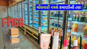 ગમે તેટલી મોંઘવારી વધે, કમાણી કરાવી આપશે આ 'મજબૂત સ્ટોક્સ'!