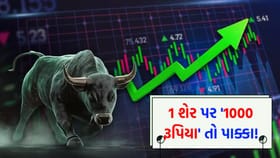 આ સ્ટોકમાં પ્રતિ શેર ₹1000 સુધીના ઉછાળાની શક્યતા