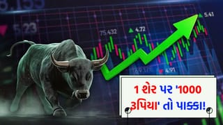 પોર્ટફોલિયોમાં છે આ સ્ટોક ? તો થઈ જાવ ‘તૈયાર’, દરેક શેર પર 1000 રૂપિયા કમાવવાની ‘સુવર્ણ તક’