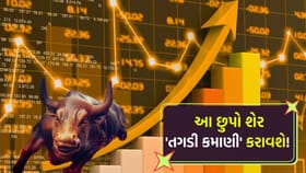 બજારમાં મચી હલચલ! 450% ડિવિડન્ડની જાહેરાતથી રોકાણકારો 'ખુશખુશાલ'