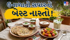 સવાર માટે બેસ્ટ 7 હળવા અને પૌષ્ટિક પરાઠા સરળ પાચન અને સ્વાદિષ્ટ નાસ્તો