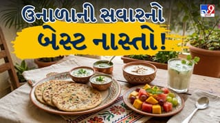 Summer Special : ઉનાળાની ગરમીમાં ખાઓ હળવા પરાઠા, સ્વાદિષ્ટ, સુપાચ્ય અને તાજગીભર્યો સવારનો નાસ્તો