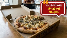 Breaking News: સુરતમાં પનીર-ચીઝમાં ભેળસેળનો પર્દાફાશ!