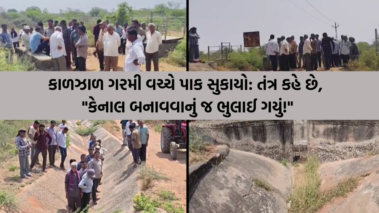 તંત્રનો અજીબોગરીબ જવાબ : ‘300 મીટર કેનાલ બનાવવાનું તો અમે ભૂલી ગયા’! 15 વર્ષથી પાણીની રાહ જોતા ખેડૂતો હવે આરપારના જંગના મૂડમાં!