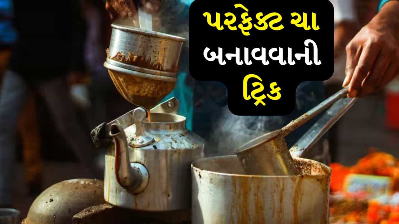 Tea Flavor Science: શું ચાને લાંબા સમય સુધી ઉકાળવાથી તેનો સ્વાદ કડવો લાગે છે? ઉકાળવા પાછળનું વિજ્ઞાન સમજો