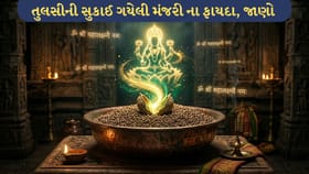 તુલસીની મંજરી: રાતોરાત બદલી શકે છે તમારું નસીબ, જાણો રહસ્ય!