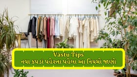 શું તમે નવા કપડાં લાવીને સીધા જ પહેરી લો છો? જાણો શું કરવું જરૂરી