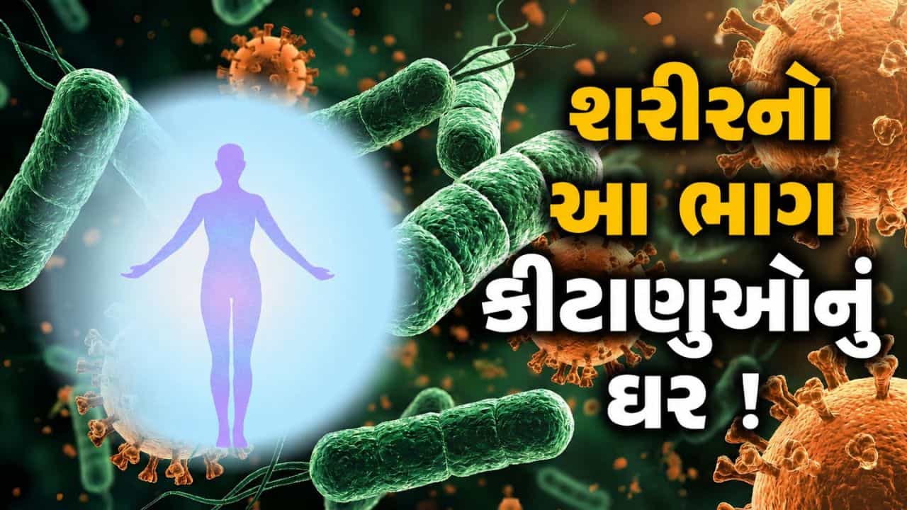 ટોયલેટ સીટ કરતાં પણ 3000 વધારે કીટાણુ હોય છે વ્યક્તિના આ બોડી પાર્ટમાં, તમે નહીં જાણતા હોવ
