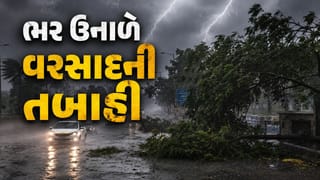 Breaking News : વૃક્ષો ધરાશાયી, ઘરોને નુકસાન…. 38 જિલ્લાઓ માટે વરસાદનું યલો એલર્ટ જાહેર, ભર ઉનાળે આ રાજ્યમાં તબાહી, જુઓ