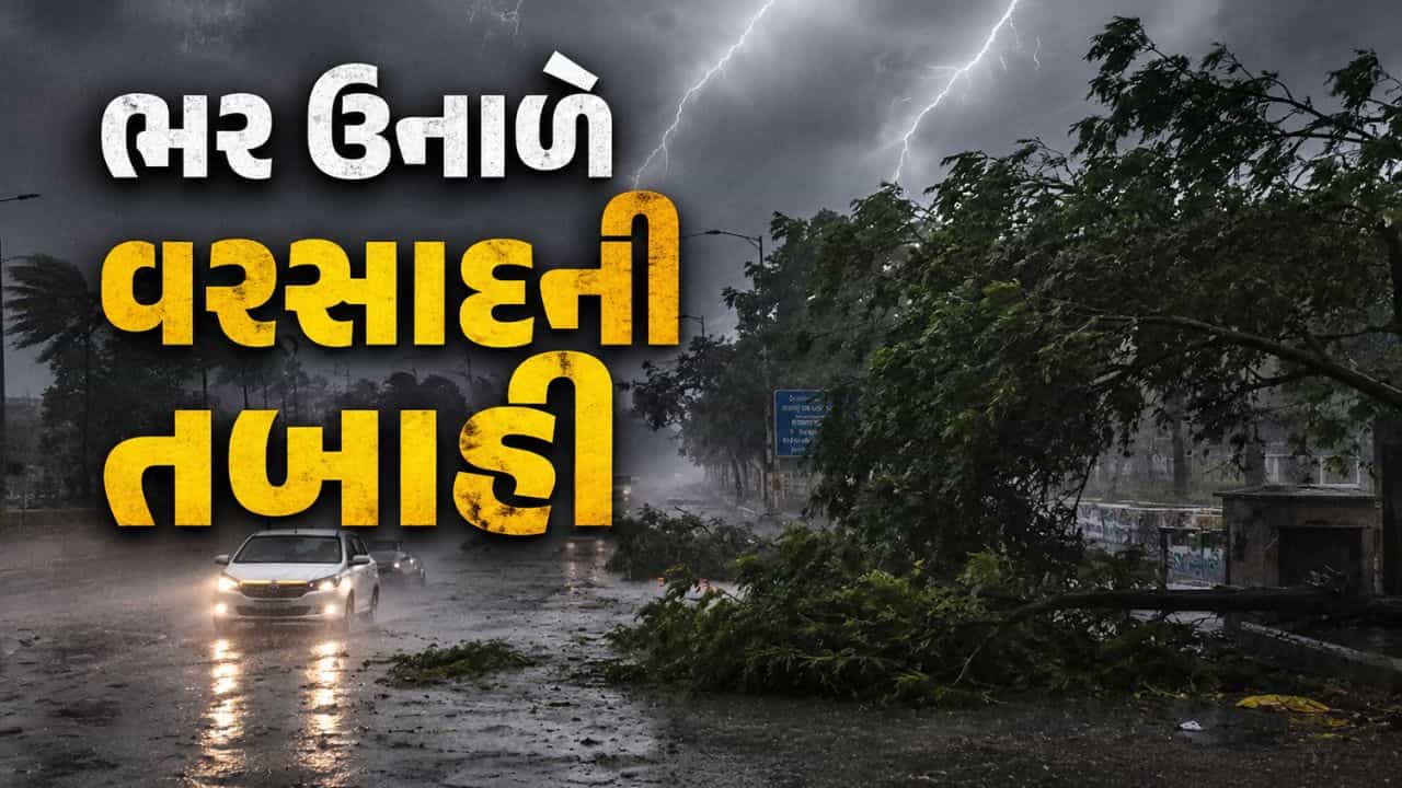 Breaking News : વૃક્ષો ધરાશાયી, ઘરોને નુકસાન.... 38 જિલ્લાઓ માટે વરસાદનું યલો એલર્ટ જાહેર, ભર ઉનાળે આ રાજ્યમાં તબાહી, જુઓ