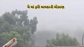 રાજ્યમાં મે મહિનામાં વધુ એક માવઠુ થવાની અંબાલાલ પટેલે કરી આગાહી- Video