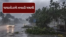 Breaking News : ઉત્તર પ્રદેશમાં વાવાઝોડાએ તબાહી મચાવી