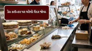 Breaking News : વડોદરાની ફેમસ બેકરીના કેક કાઉન્ટર પર મરેલો ઉંદર જોવા મળ્યો, આરોગ્ય વિભાગે ફટકાર્યો દંડ, જુઓ Video