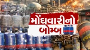 Breaking News : કોમર્શિયલ ગેસ સિલિન્ડરના ભાવ વધતા દુકાનદાર અને ગ્રાહકો બંને મુશ્કેલીમાં, જુઓ વીડિયો