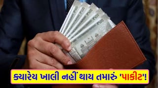 શું તમારા પર્સમાં પણ છે આ વસ્તુ ? તો ચેતી જજો, એક નાની ભૂલ તમને આર્થિક રીતે કંગાળ બનાવી શકે છે