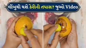 કેરી ખરીદતા પહેલા જુઓ આ Viral Video, લીંબુ કરશે ભેળસેળનો ખુલાસો?