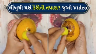 Viral Video: કેરી ખાતા પહેલા જુઓ આ Video, લીંબુનો ટુકડો ભેળસેળનો પર્દાફાશ કરશે!