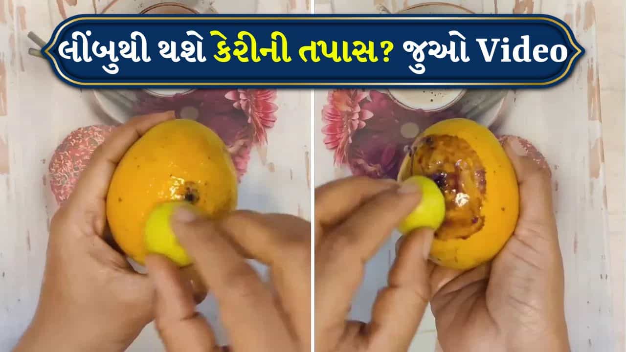 Viral Video: કેરી ખાતા પહેલા જુઓ આ Video, લીંબુનો ટુકડો ભેળસેળનો પર્દાફાશ કરશે!