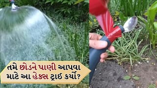 Viral Video: ઉનાળામાં છોડને પાણી આપવું હવે સરળ બન્યું, ચમચી અને ટેપનો ઉપયોગ કરીને પાઇપને ફેરવો મીની સ્પ્રેમાં