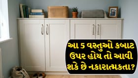 કબાટની ઉપર રાખેલી આ વસ્તુઓ તમારા ઘરના વાસ્તુને કરી શકે છે વિક્ષેપિત !