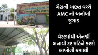 ગૌશાળાના ગોબરમાંથી બાયોગેસનું ઉત્પાદન શરૂ, દર મહિને થશે 8 લાખ રૂપિયાનો મોટો આર્થિક લાભ!