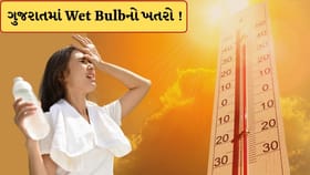 ગુજરાત સહિત આ રાજ્યોમાં Wet Bulbનો ખતરો ! વૈજ્ઞાનિકોએ જાહેર કરી ચેતવણી