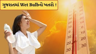 Breaking News : ગુજરાત સહિત આ રાજ્યોમાં Wet Bulbનો ખતરો ! વૈજ્ઞાનિકોએ જાહેર કરી ચેતવણી, વધી શકે છે આ સમસ્યા